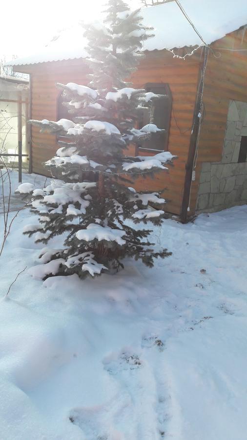 Berizka Bed & Breakfast Yaremche Exterior photo