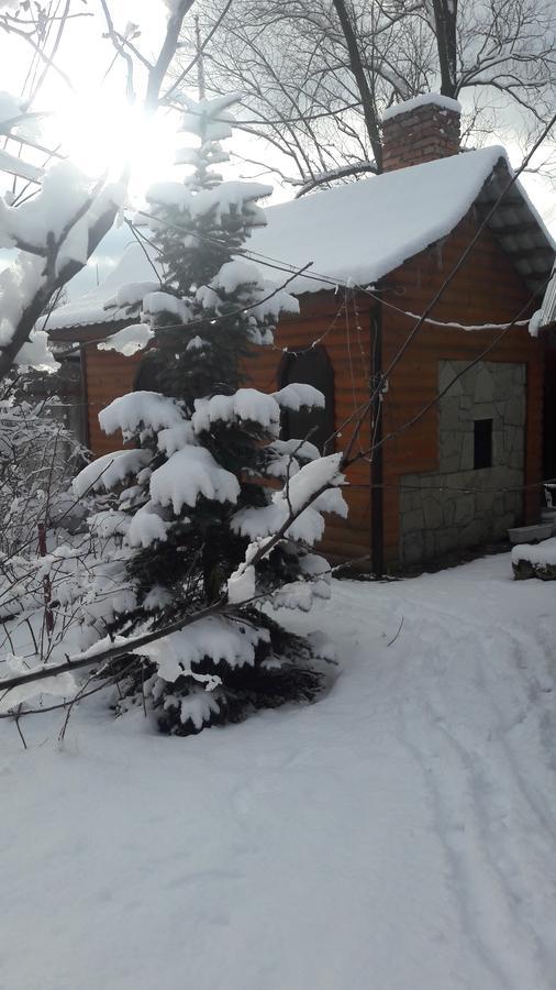 Berizka Bed & Breakfast Yaremche Exterior photo